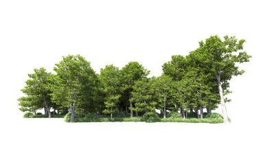 Beyaz arkaplandaki ağaçları kapat