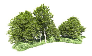 Beyaz arkaplandaki ağaçları kapat