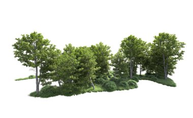 Beyaz arkaplandaki ağaçları kapat