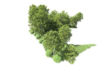 Beyaz arkaplandaki ağaçları kapat