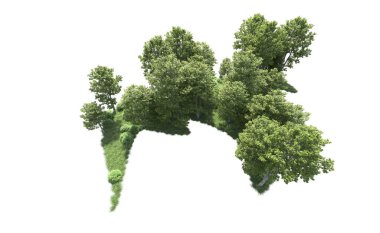 Beyaz arkaplanı olan bir grup ağaç 