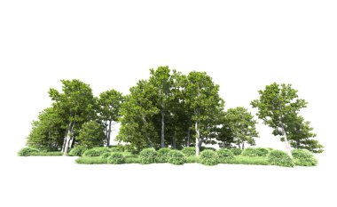 Beyaz arkaplanı olan bir grup ağaç 