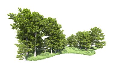 Beyaz arkaplanı olan bir grup ağaç 