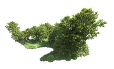 Beyaz arkaplanı olan bir grup ağaç 