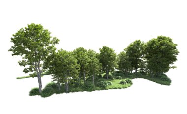 Beyaz arkaplanı olan bir grup ağaç 