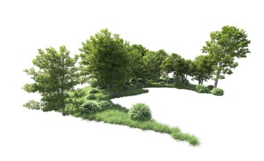 Beyaz arkaplanı olan bir grup ağaç 