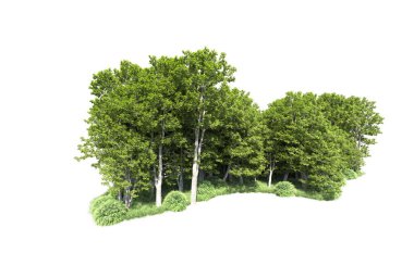 Beyaz arkaplanı olan bir grup ağaç 