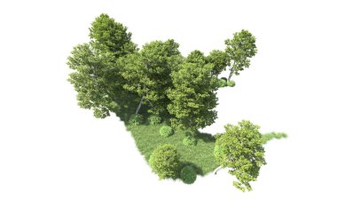 Beyaz arkaplanı olan bir grup ağaç 