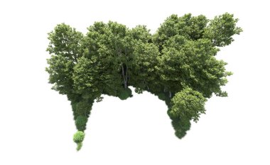 Beyaz arkaplanı olan bir grup ağaç 