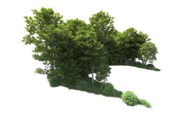 Beyaz arkaplanı olan bir grup ağaç 