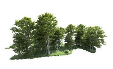 Beyaz arkaplanı olan bir grup ağaç 