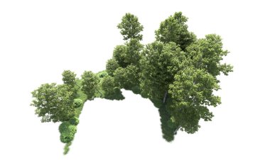 Beyaz arkaplanı olan bir grup ağaç 