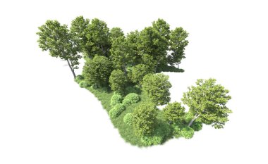 Beyaz arkaplanı olan bir grup ağaç 