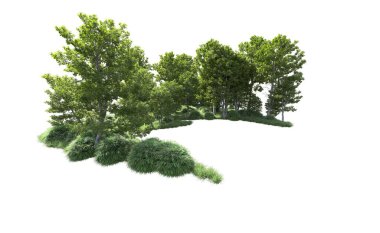 Beyaz arkaplanı olan bir grup ağaç 