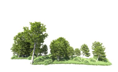 Beyaz arkaplanı olan bir grup ağaç 