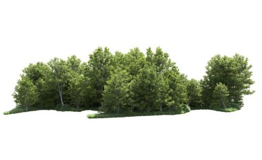 Beyaz arkaplanı olan bir grup ağaç 