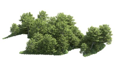 Beyaz arkaplanı olan bir grup ağaç 