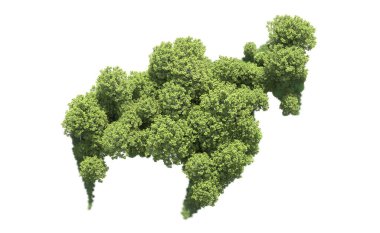 Beyaz arkaplanı olan bir grup ağaç 