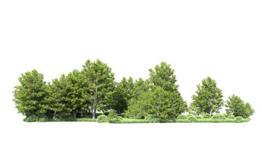 Beyaz arkaplanı olan bir grup ağaç 