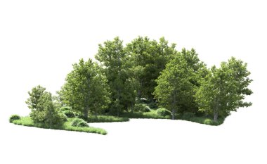 Beyaz arkaplanı olan bir grup ağaç 