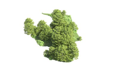 Beyaz arkaplanı olan bir grup ağaç 