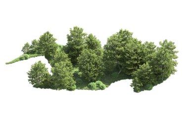 Beyaz arkaplanı olan bir grup ağaç 