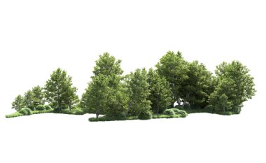 Beyaz arkaplanı olan bir grup ağaç 