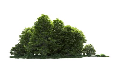 Beyaz arkaplanı olan bir grup ağaç 