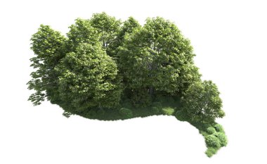 Beyaz arkaplanı olan bir grup ağaç 