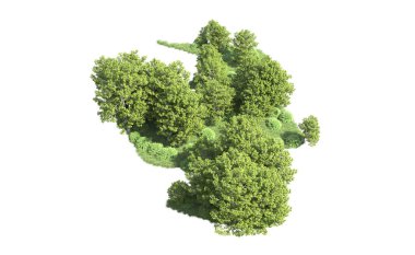 Beyaz arkaplanı olan bir grup ağaç 