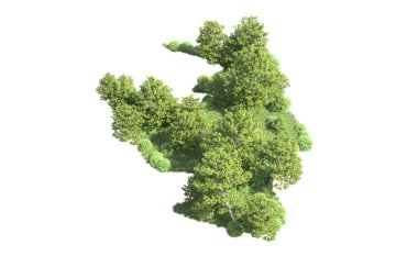 Beyaz arkaplanı olan bir grup ağaç 