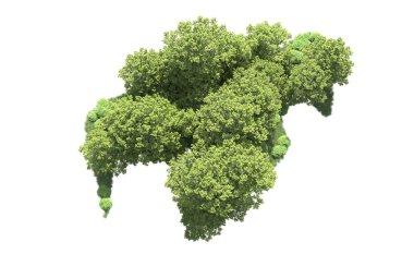 Beyaz arkaplanı olan bir grup ağaç 