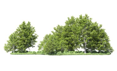 Beyaz arkaplanı olan bir grup ağaç 