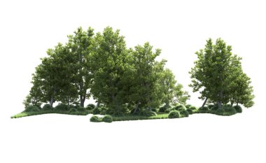 Beyaz arkaplanı olan bir grup ağaç 