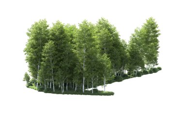 Beyaz arkaplanı olan bir grup ağaç 