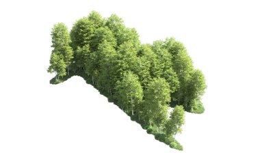 Beyaz arkaplanı olan bir grup ağaç 