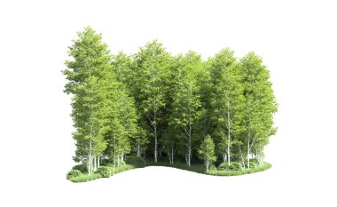 Beyaz arkaplanı olan bir grup ağaç 