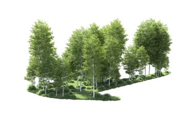 Beyaz arkaplanı olan bir grup ağaç 