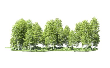 Beyaz arkaplanı olan bir grup ağaç 