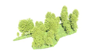 Beyaz arkaplanı olan bir grup ağaç 