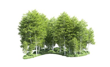 Beyaz arkaplanı olan bir grup ağaç 