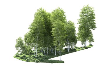 Beyaz arkaplanı olan bir grup ağaç 