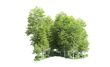 Beyaz arkaplanı olan bir grup ağaç 