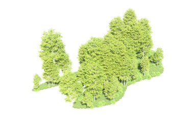 Beyaz arkaplanı olan bir grup ağaç 