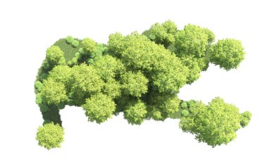 Beyaz arkaplanı olan bir grup ağaç 