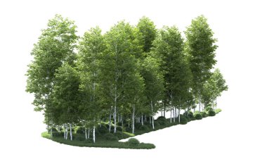 Beyaz arkaplanı olan bir grup ağaç 