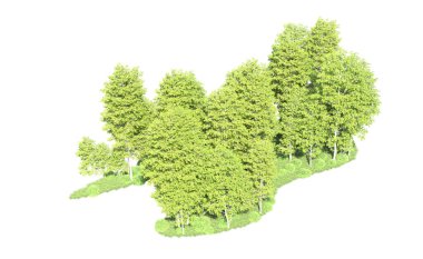 Beyaz arkaplanı olan bir grup ağaç 