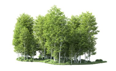 Beyaz arkaplanı olan bir grup ağaç 