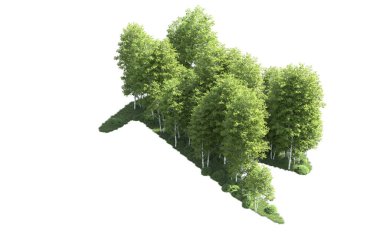 Beyaz zemin üzerine yeşil ağaçlar kadar kapatın