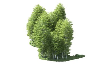 Beyaz zemin üzerine yeşil ağaçlar kadar kapatın